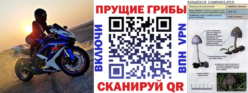 Галлюциногенные грибы ЛСД  Заозёрный 
