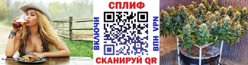 Каннабис AK-47  Заозёрный 